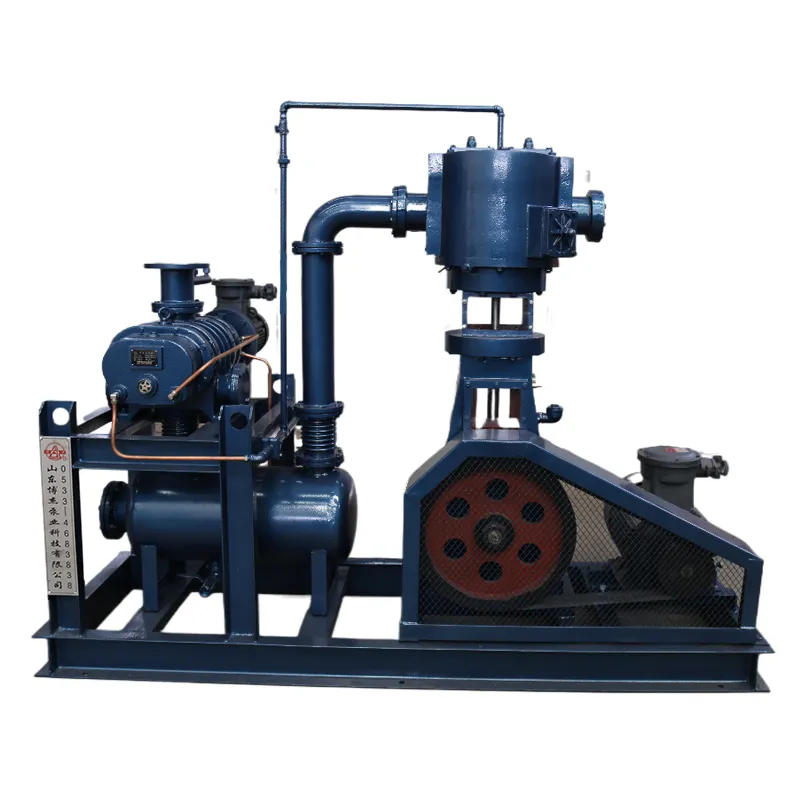2BV Series Water Ring Vacuum Pump